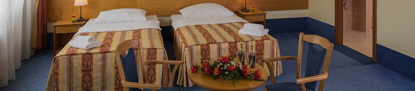 Executive Room